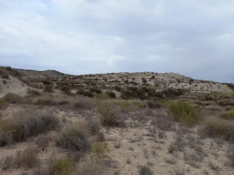 Finca rústica en Librilla